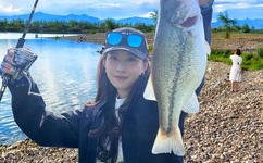 双性高H各种PLAY浪荡受NP